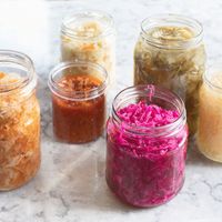 Crafty Cultures Vegetable Fermentation Kit